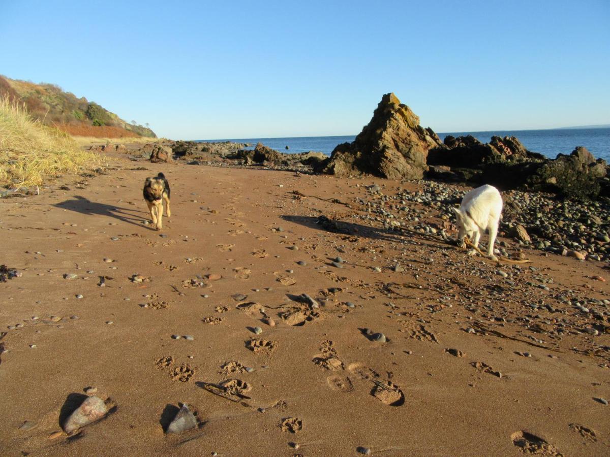 Osprey, Longhouse Cottages Rosemarkie ภายนอก รูปภาพ
